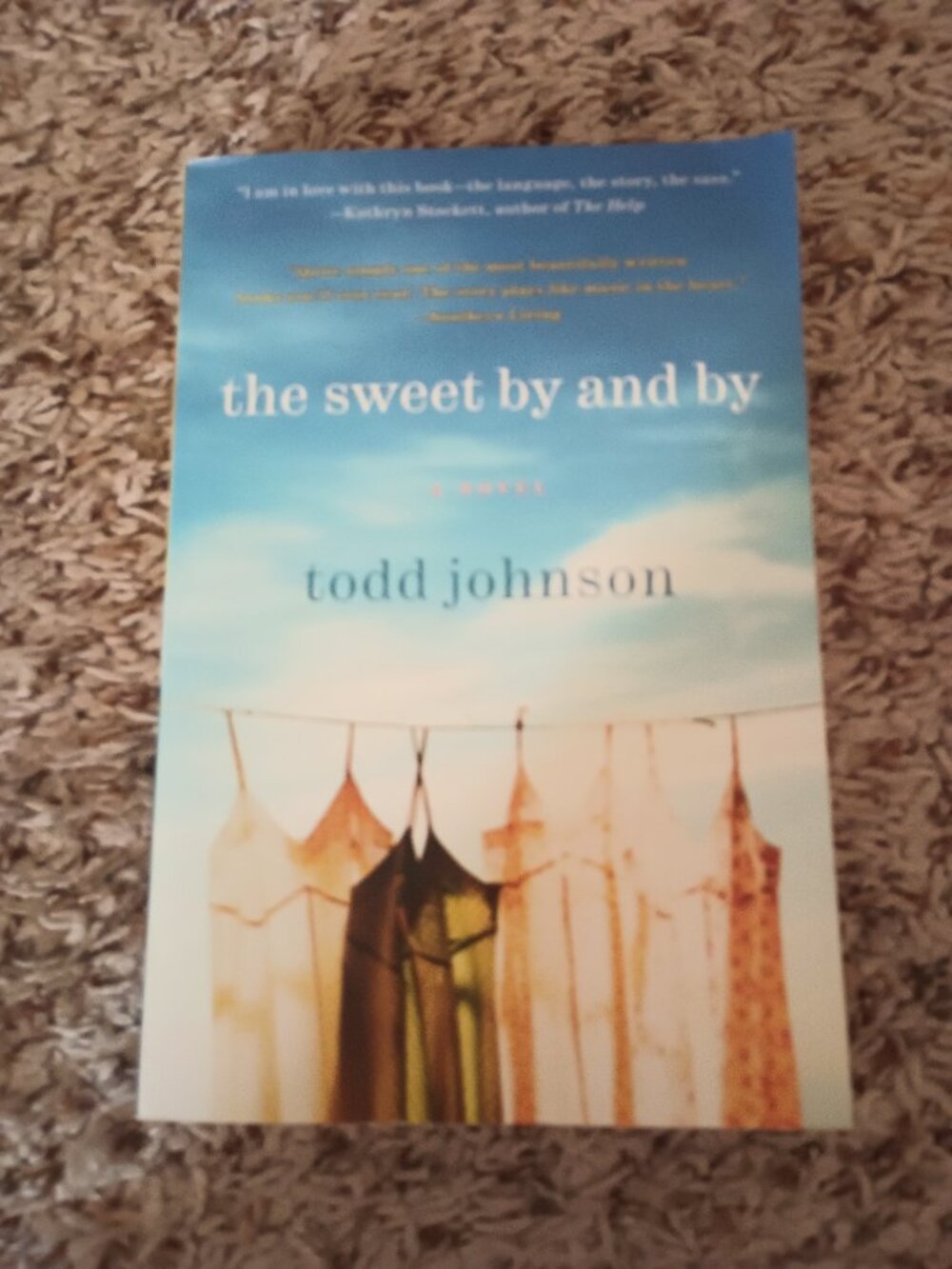 The Sweet By and By novel - trade paperback